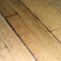 damaged-floors